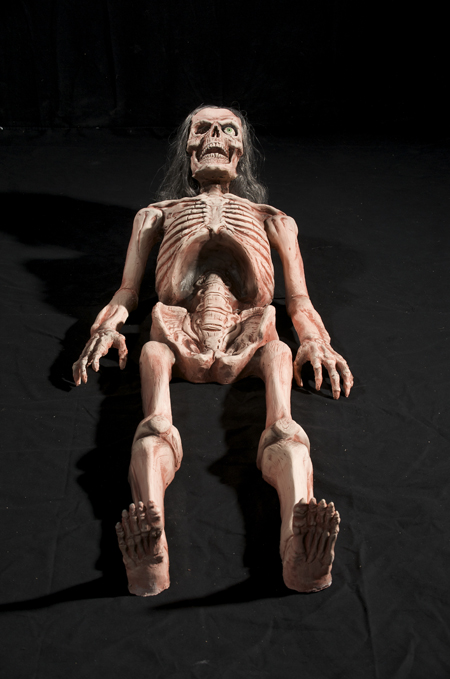 Bones Animated