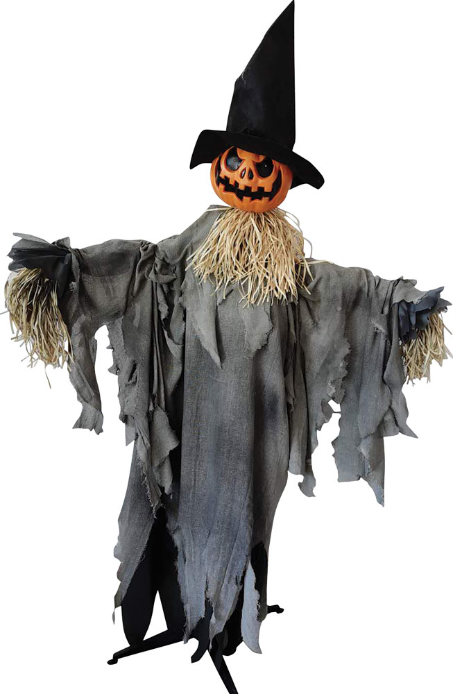 Pumpkin Animated W Hat