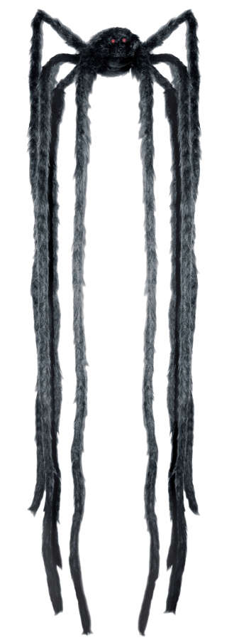 Animated Spider W/Long Legs