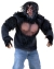 Chimp Shirt