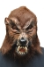 Howl O Ween