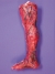 Skinned Right Leg