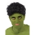 Hulk Adult Wig