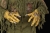 Jason Hands