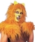 Cat Accessory Pack Gold