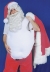 Santa Padding Standard