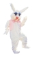 Peter Rabbit  As Pictured
