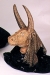 Cow Head Variform  Special Ord