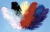 Ostrich Plumes Black Jumbo