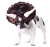 Triceratops Pet Animal Planet