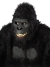 Goin Ape Mask Ani-Motion