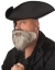 Capt Beard/Stache Grey