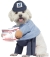 Us Mail Carrier Dog Costume Pet Medium