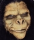 Ape Man Foam Latex Prosthetic