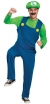 Men's Luigi Classic Costume Teen/Adult (38 - 40)