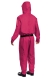 Triangle Guard Adult Costume