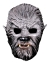 Werewolf Mini Monster