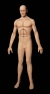 Flex Body Male
