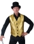 Gold Vest Adult Large