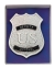 Deputy Marshal Badge
