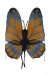 Wings Butterfly Orange