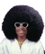 Wig Super Fro Black