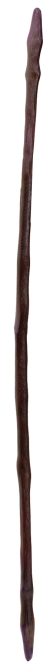 Walking Staff