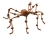Plush 20 Spider Brown
