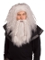 Grey/Viking Wig & Beard