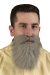 Mustache And Beard 24 Pc Asst