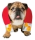 Zelda Chick Magnet Dog M/L