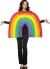 Rainbow Adult