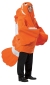 Clownfish Adult