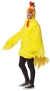 Chicken Costume