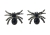 Earrings Spider Glitter Gem
