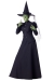 Wicked Witch Adult Xlge