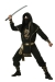 Ninja Warrior Medium