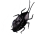 Cockroach Giant