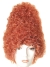 Beehive Bargain Red