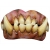 Teeth - Ogre