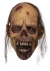 Carnivore Adult Mask