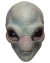 Visitor Adult Mask