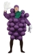 Grapes Purple Adult Costume