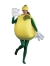 Lemon Adult Costume