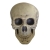 Skull Foam 9.5In