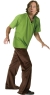Shaggy Std Size