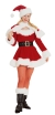 Sexy Miss Santa Adult Small