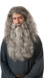 Gandalf Wig/Beard Kit