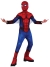 Spiderman Red Blue Child Small