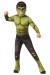 Hulk Av4 Child Md